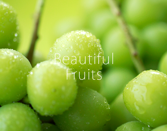 フルーツカッティングのベルフルーツ